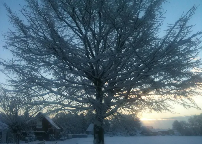 Maison d'hôtes Alte Wasserwerk 3*